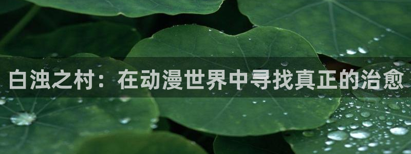 age动漫网官网
